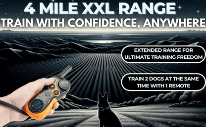 Dog Training Collar with Remote 4-Mile Range – 124 Adjustable Levels 4 Modes Beep Vibration Shock Night-Light Rechargeable E-Collar for Dogs 5–135 lbs with Training Guide