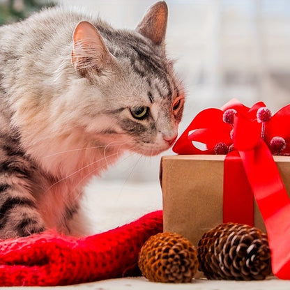 7-in-1 Interactive Cat Teaser Toy USB Rechargeable – 7 Play Modes for Indoor Cats & Dogs, Chasing Exercise Toy, Includes Free Bonus Mouse Toy, Great Christmas & Birthday Gift for Pets