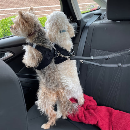 Dual Dog Car Seat Belt for 2 Dogs No-Tangle Headrest Restraint Adjustable Bungee Pet Safety Harness for Small Medium Large Dogs Car Travel