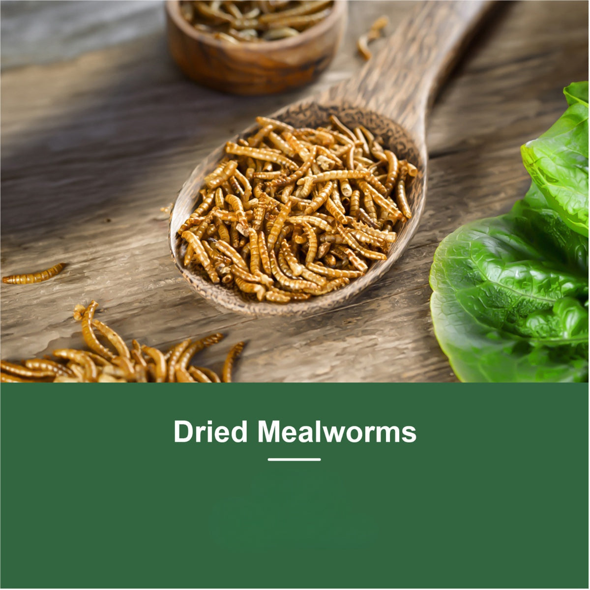 Dried Mealworms for Chickens Wild Birds Ducks – High Protein Natural Pet Food for Hens, Turtles, Fish, Lizards & Hamsters, Non-GMO Dried Insect Animal Feed, Multiple Sizes 0.6–40 LBS