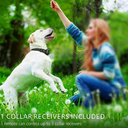 Dog Training Collar with Remote – Vibration & Sound Modes, Adjustable Nylon Strap for Small to Large Dogs, 1 Remote Controls 1, 2, or 3 Dogs