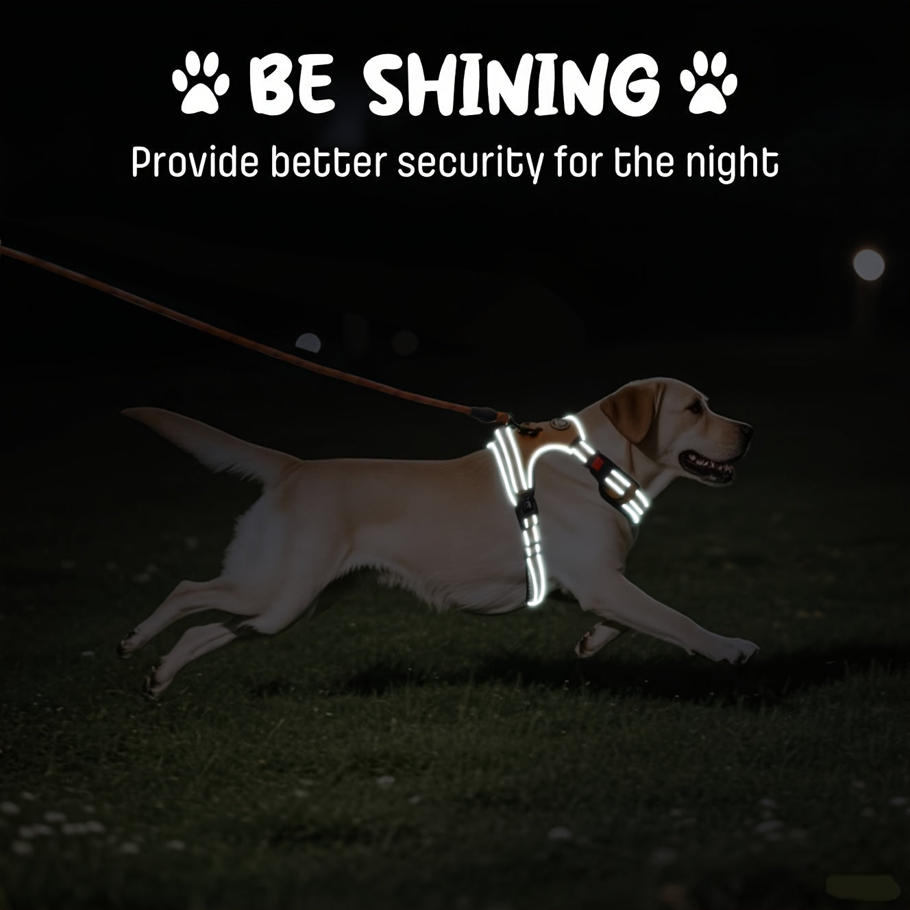 No Pull Dog Harness Set with Leash Retractable Seatbelt & Collar – Fully Reflective Adjustable Breathable Vest Harness with Handle for Small & Large Dogs XS–XL