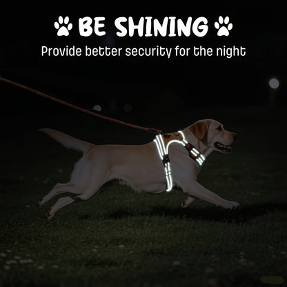 No Pull Dog Harness Set with Leash Retractable Seatbelt & Collar – Fully Reflective Adjustable Breathable Vest Harness with Handle for Small & Large Dogs XS–XL