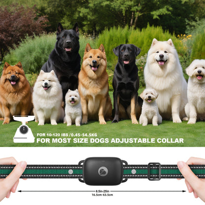 Dog Training Collar with Remote IP68 Waterproof – Rechargeable E-Collar for Small Medium Large Dogs, 3 Modes Beep Vibration Shock, 1640ft Range