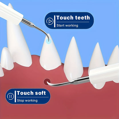 Electric Pet Teeth Cleaning Kit for Cats and Dogs USB Rechargeable Tartar Stain Remover with 4 Cleaning Heads 5 Modes - Dog Cat Dental Care Tool