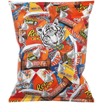 Bulk Variety Chocolate Candy Bag Individually Wrapped Assorted Mix for Parties Halloween Holidays Stocking Stuffers Office Snacks 2 lb 4 lb 6 lb