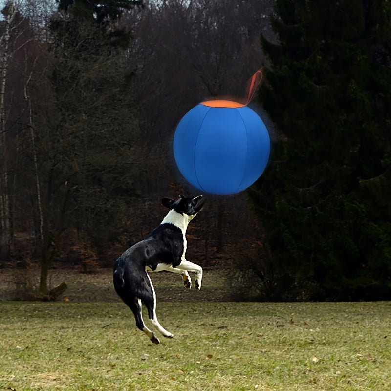 Chew-Resistant Dog Ball Toy for Fetch & Training – Durable Polo Balls for Golden Retrievers, Bulldogs, Shiba Inu, Corgi & Australian Shepherd, Self-Play & Obedience Exercise