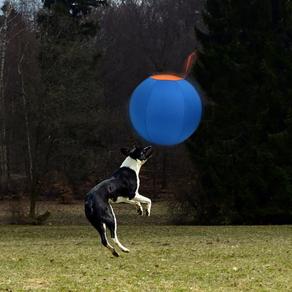 Chew-Resistant Dog Ball Toy for Fetch & Training – Durable Polo Balls for Golden Retrievers, Bulldogs, Shiba Inu, Corgi & Australian Shepherd, Self-Play & Obedience Exercise
