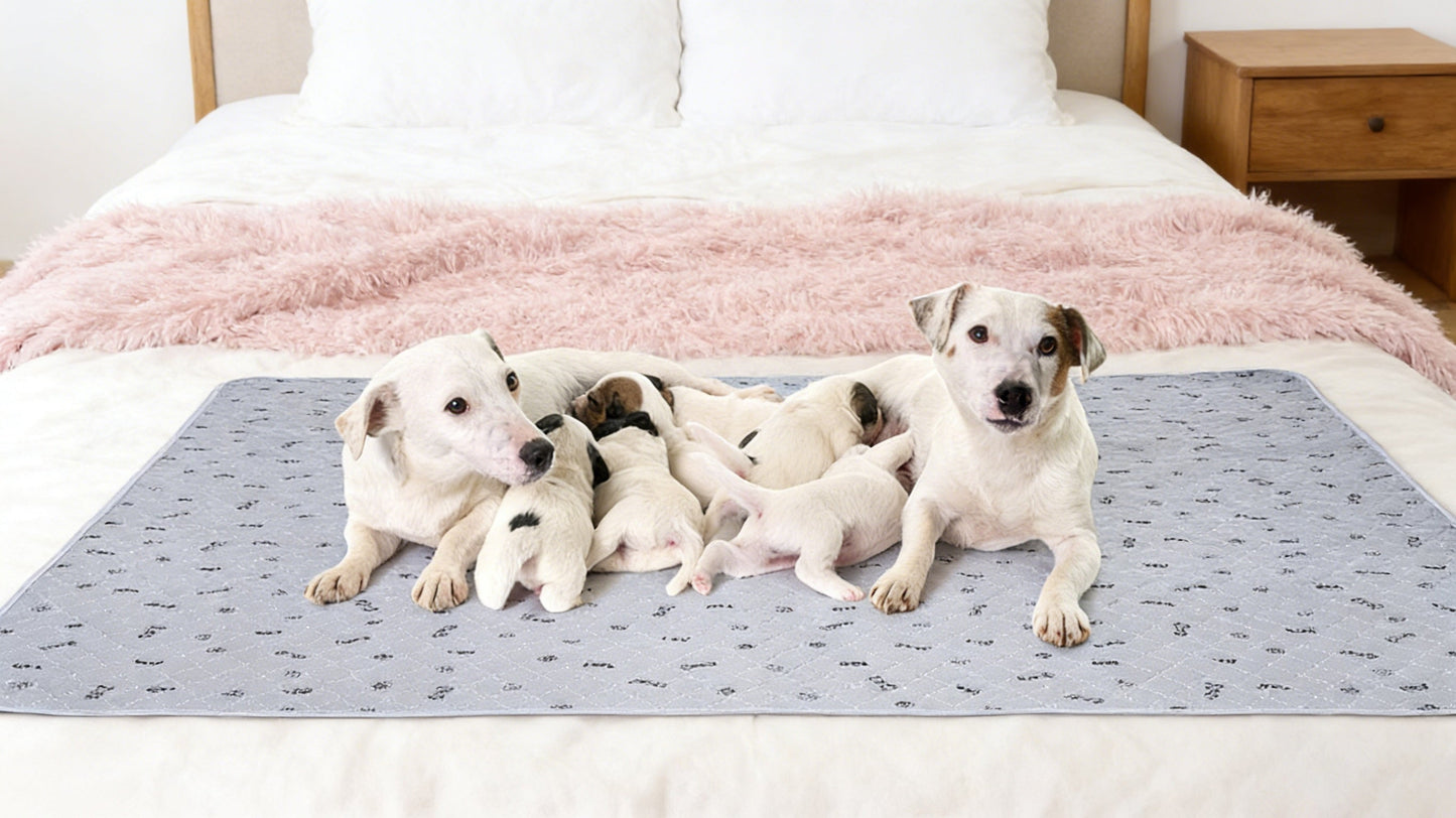 Washable Reusable Dog Pee Pads with Bone Print – Non-Slip Leakproof Absorbent Puppy Training Pads, Machine Washable Whelping Pads for Couch Crate Playpen Potty Training, Multiple Sizes