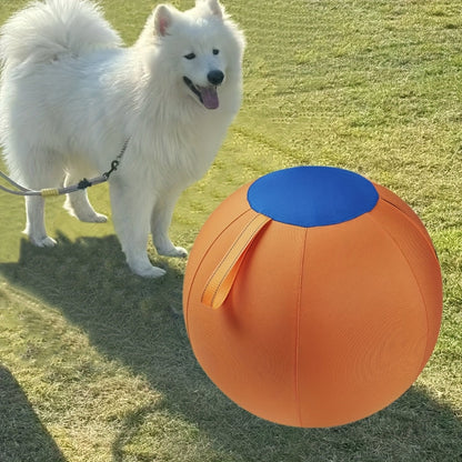 Chew-Resistant Dog Ball Toy for Fetch & Training – Durable Polo Balls for Golden Retrievers, Bulldogs, Shiba Inu, Corgi & Australian Shepherd, Self-Play & Obedience Exercise
