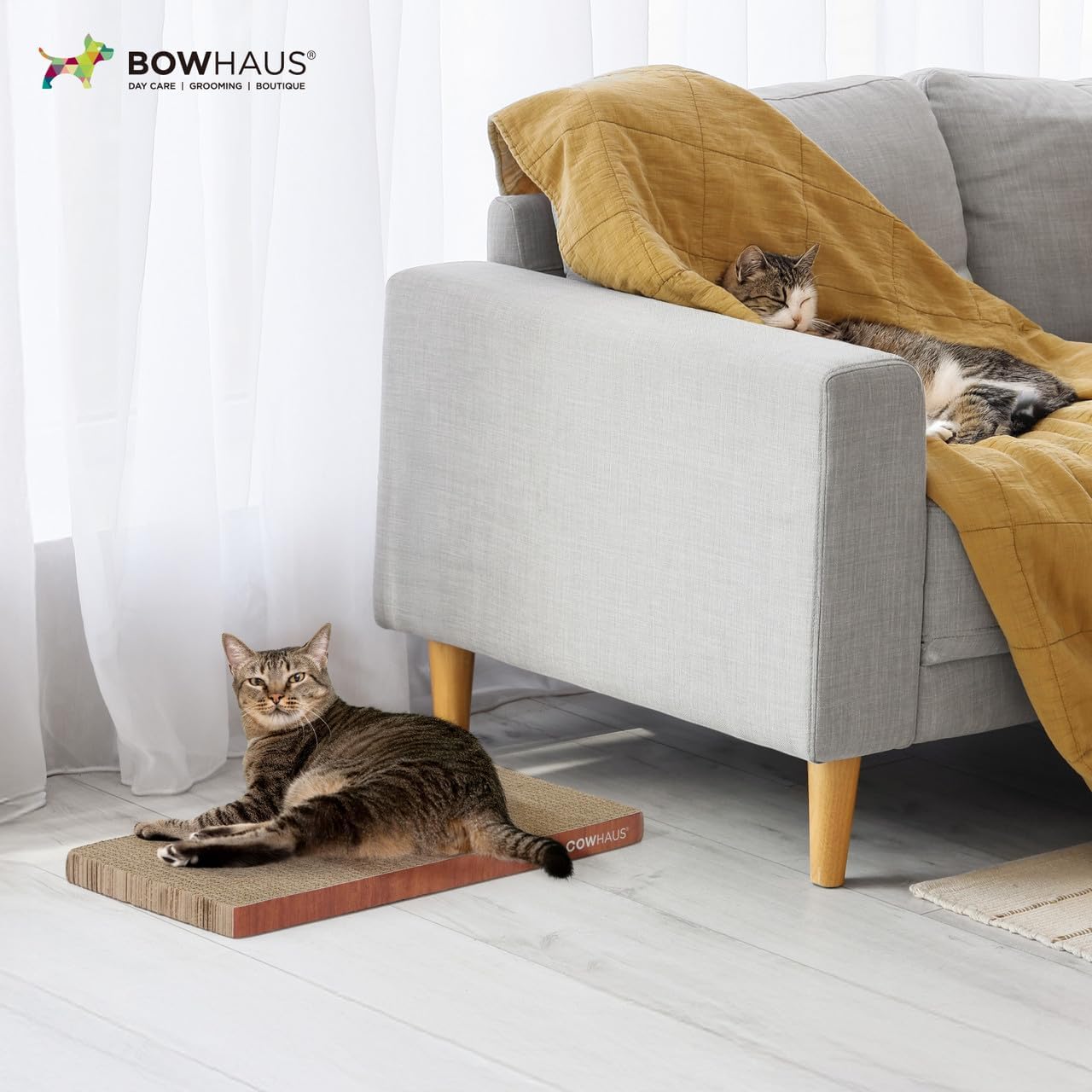 CAPHAUS Reversible Cat Scratcher Lounger – Large 5-Layer High-Density Cardboard Scratching Pad & Board, 16.9 x 8.5 Inch, Protects Furniture, Fits Multi-Cat Households & Large Paw Breeds