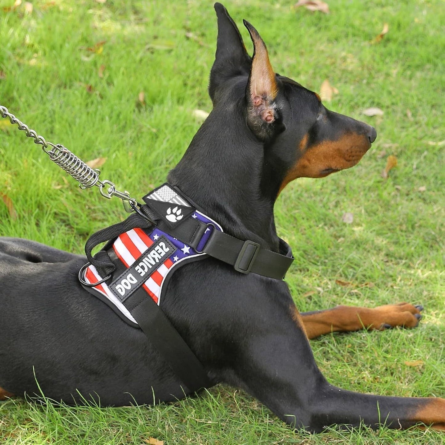 No-Pull Dog Harness Set Reflective Vest with 5 Patches – Adjustable Soft Oxford Mesh Service Dog Harness Front & Back Clip for Small Medium Large Dogs XS to XL