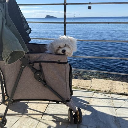 Portable Pet Stroller for Small Dogs & Cats – Foldable Travel Dog Stroller up to 33 lbs, Breathable Canopy, Smooth Wheels & Storage Basket, Ideal for Walks, Trips & Outdoor Adventures