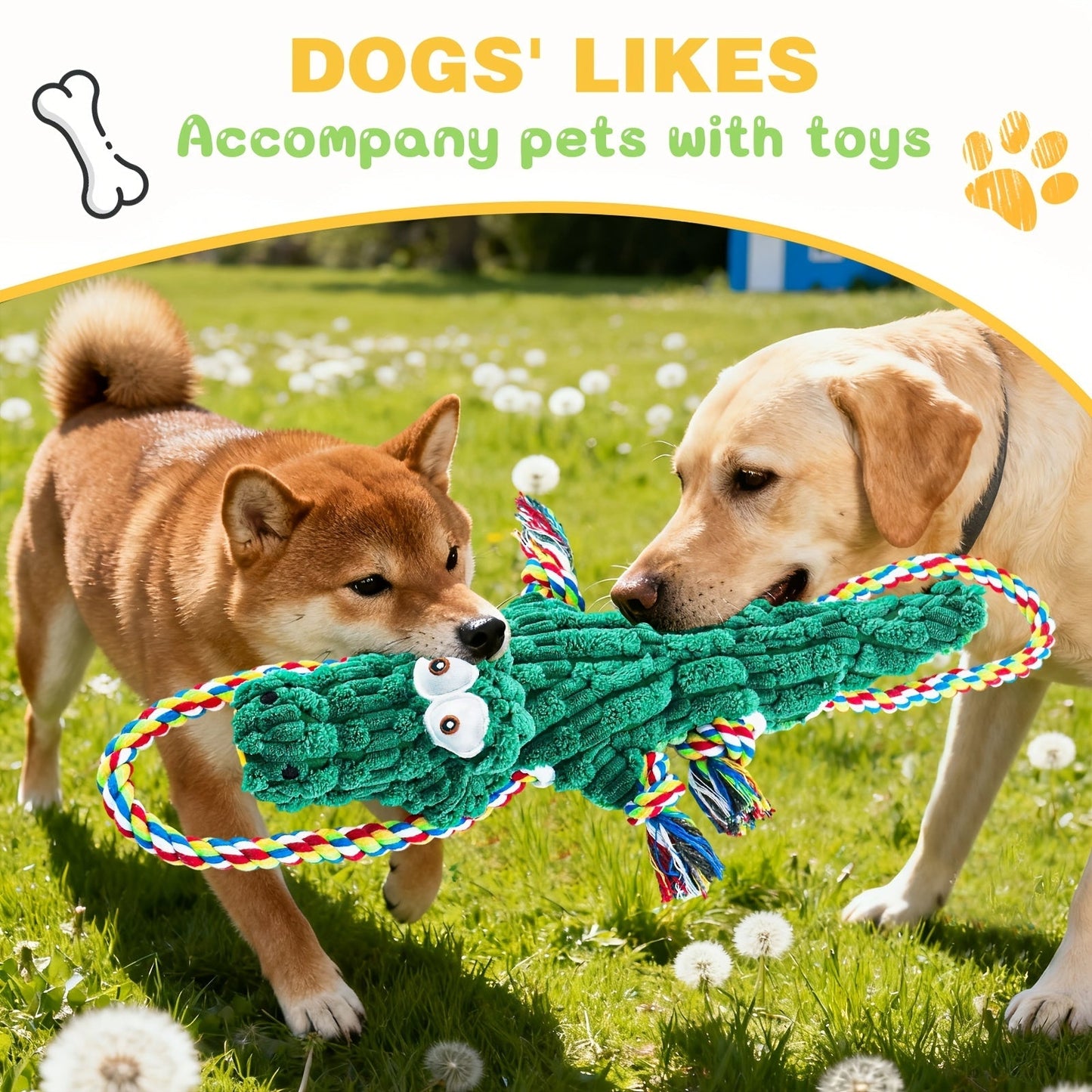 Crocodile Squeaky Dog Chew Toy with Built-In Squeaker – Durable Cotton Rope & Canvas Tug Toy for Small Medium Large Dogs, Teeth Cleaning, Interactive Tug-of-War, Aggressive Chewer Safe