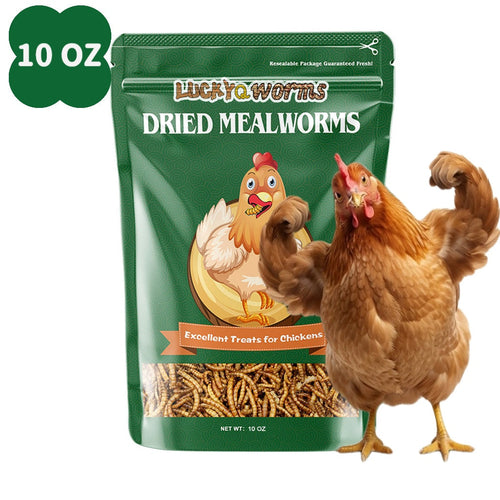 Dried Mealworms for Chickens Wild Birds Ducks – High Protein Natural Pet Food for Hens, Turtles, Fish, Lizards & Hamsters, Non-GMO Dried Insect Animal Feed, Multiple Sizes 0.6–40 LBS