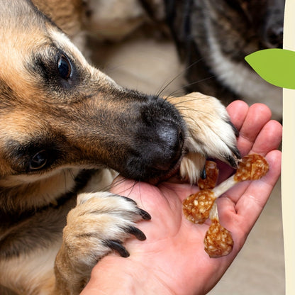 High Protein Chicken Dumbbell Dog Treats – Natural Healthy Long-Lasting Training Reward Snacks with Rice for Small, Medium & Large Breed Dogs