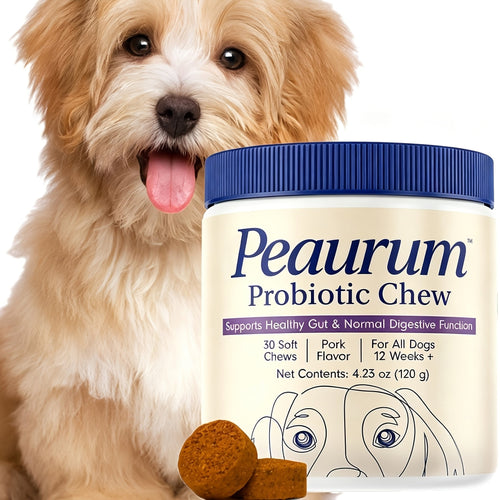 Probiotics for Dogs 60 Softgels Natural Plant-Based Formula Supports Gut Health Digestion Seasonal Allergy Relief - 120g 1 Pack or 2 Pack