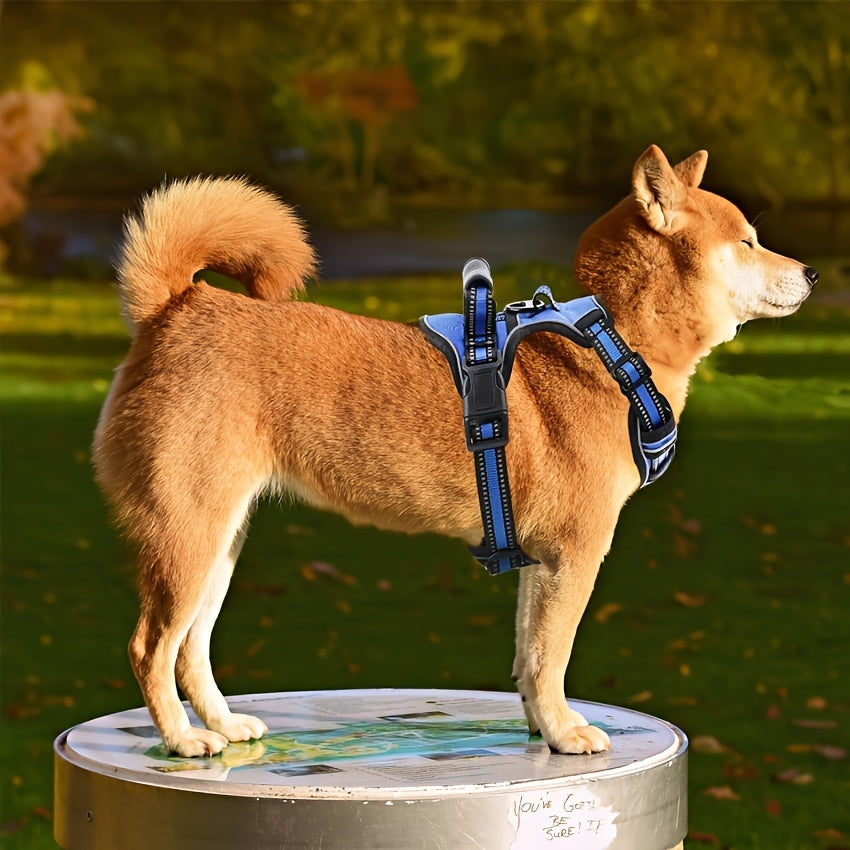 No-Pull Dog Harness & Leash Set 6-in-1 – Reflective No-Choke Oxford Vest with Dual Leash Clips & Easy Control Handle for Small Medium Large Dogs, 5 Colors XS to XL