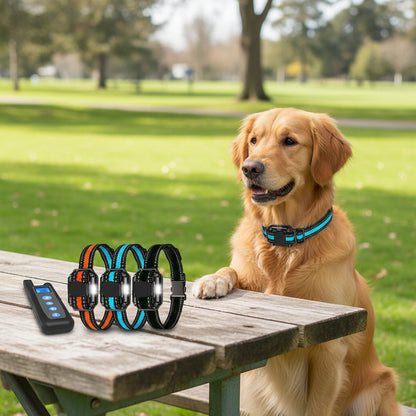 Dog Training Collar with Remote – Vibration & Sound Modes, Adjustable Nylon Strap for Small to Large Dogs, 1 Remote Controls 1, 2, or 3 Dogs