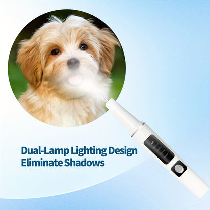 Electric Pet Teeth Cleaning Kit for Cats and Dogs USB Rechargeable Tartar Stain Remover with 4 Cleaning Heads 5 Modes - Dog Cat Dental Care Tool