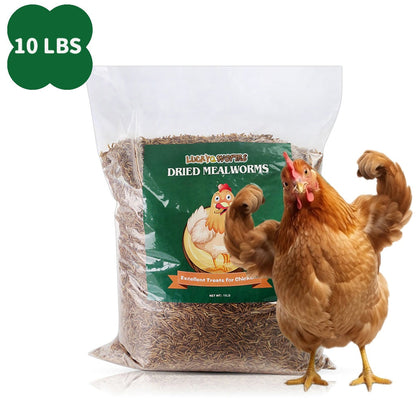 Dried Mealworms for Chickens Wild Birds Ducks – High Protein Natural Pet Food for Hens, Turtles, Fish, Lizards & Hamsters, Non-GMO Dried Insect Animal Feed, Multiple Sizes 0.6–40 LBS