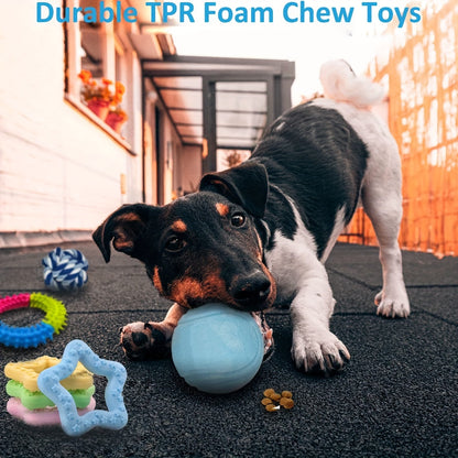 Puppy Teething Toy Variety Pack – Assorted Chew Toys, Rope Toys, Squeaky Toys & Treat Balls for Small & Medium Dogs, Perfect Christmas, Halloween & Birthday Gift for Puppies