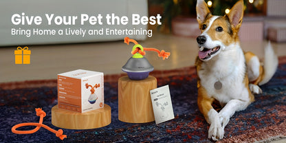 Automatic Moving Rolling Dog Ball Toy with Rope Motion Activated Voice Recording USB Rechargeable Interactive Stimulation Toy for Small Medium Dogs Boredom Relief Gray White