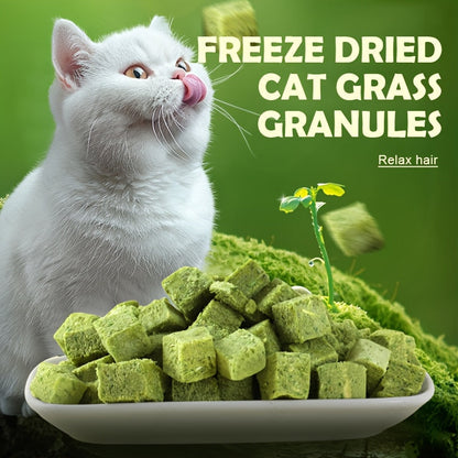 Freeze-Dried Cat Grass Hairball Control Tablets – Natural Mint Molar Sticks & Granules, Chicken Flavor Cat Snacks for Dental Health & Hair Removal