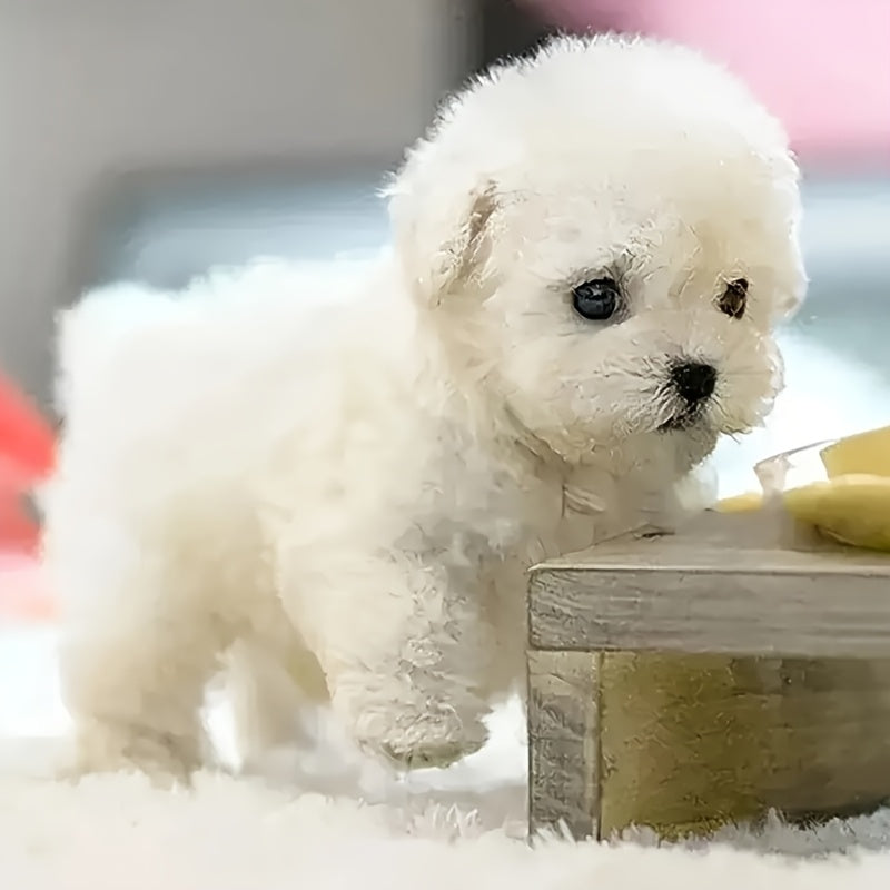 Interactive Robotic Plush White Labrador Puppy Toy Walks Barks Wags Tail Realistic Electronic Pet Dog Gift Box Kids Birthday Christmas Holiday Gift Boys Girls Ages 3 and Up
