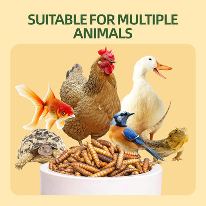 Dried Black Soldier Fly Larvae for Chickens – High Protein 43% & 85x More Calcium Than Mealworms, Non-GMO Natural BSFL Treats for Laying Hens, Ducks, Quail, Birds & Reptiles, 2LB / 5LB / 10LB