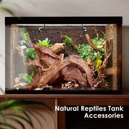 Natural Driftwood for Aquarium Decor & Reptile Terrarium – 2 Pieces 9 to 14 Inches Real Wood Branches for Fish Tank, Bearded Dragon, Lizard, Snake, Tree Frog, Turtle & Shrimp Habitat
