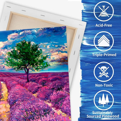 Stretched Canvas Multi-Pack Primed White 100% Cotton – Round Rectangular and Square Sets in 10 15 and 20 Pieces – Artist Canvas Boards for Acrylic Oil Painting Pouring and Mixed Media