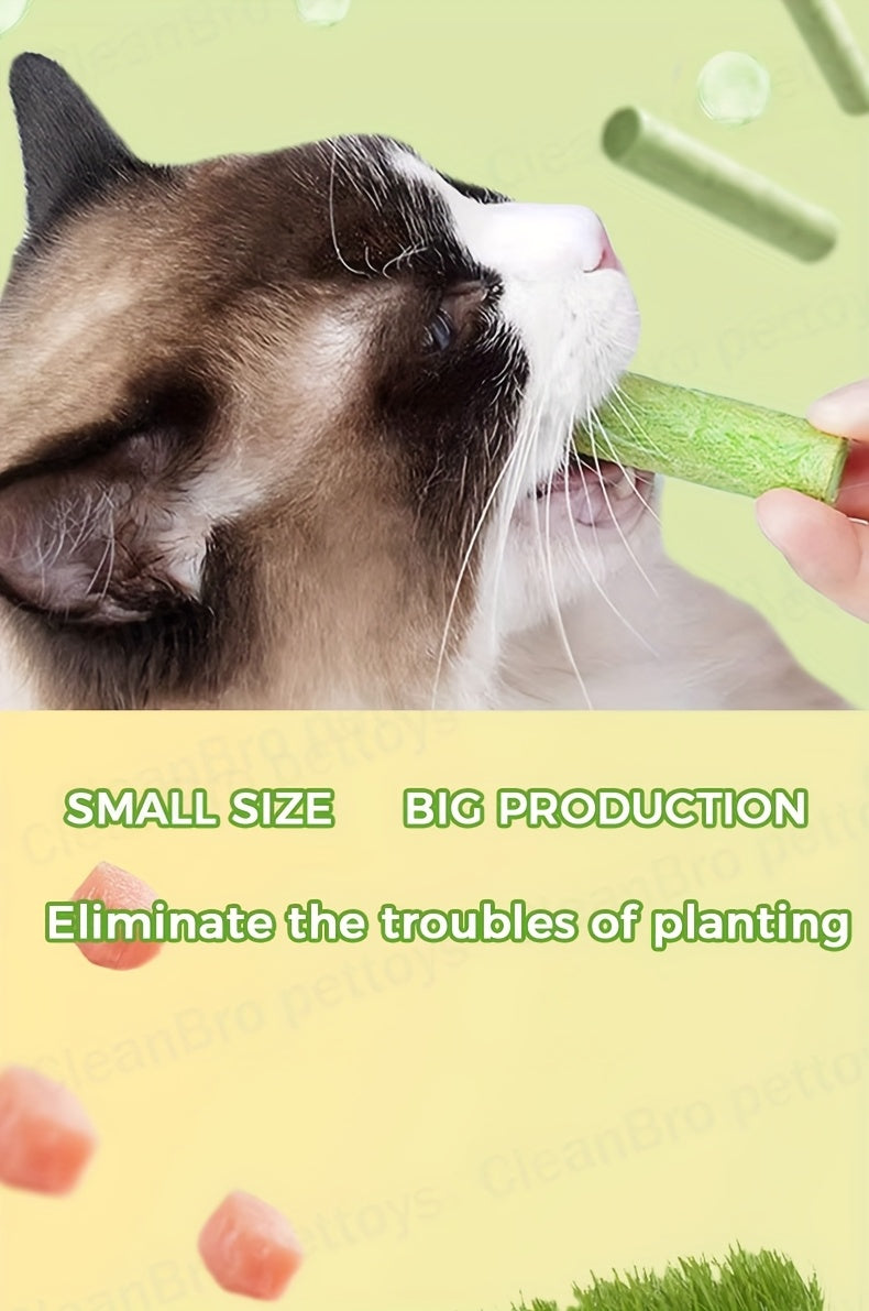 Cat Grass Sticks for Hairball Control – 3-in-1 Freeze-Dried Catnip Treats with Instant Granules & Hair Cream Tablets for Indoor Cats, Natural Hairball Remedy, 15 Count & 15-Pack Bundle