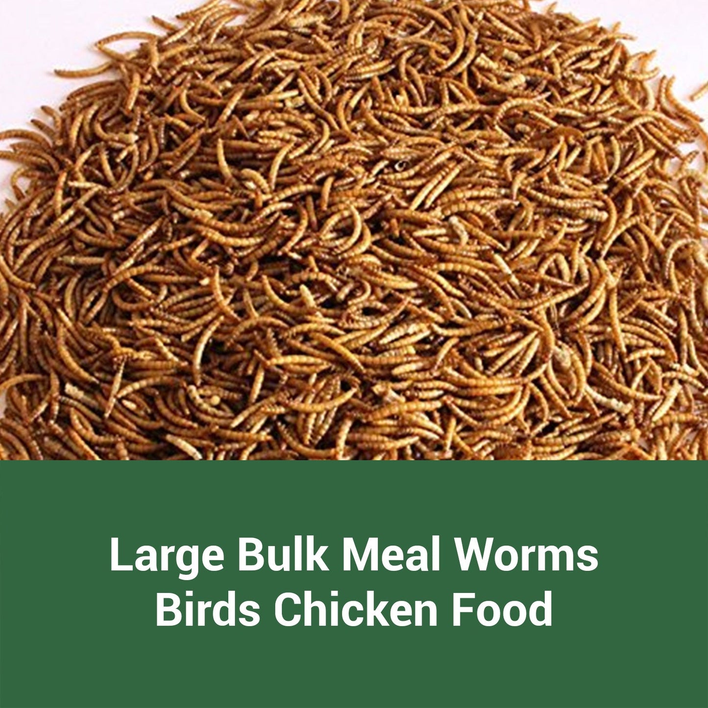 Dried Mealworms for Chickens Wild Birds Ducks – High Protein Natural Pet Food for Hens, Turtles, Fish, Lizards & Hamsters, Non-GMO Dried Insect Animal Feed, Multiple Sizes 0.6–40 LBS