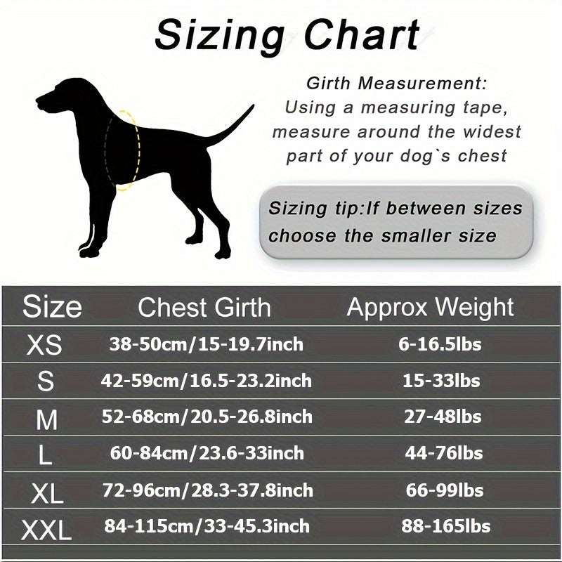 Personalized No-Pull Dog Harness with Custom Name & Phone Number – Heavy Duty Escape Proof Pet Vest for Training & Walking, Sizes XS to XXL, 12 Colors Available
