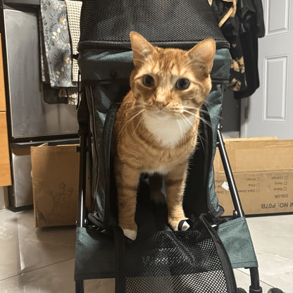 Portable Pet Stroller for Small Dogs & Cats – Foldable Travel Dog Stroller up to 33 lbs, Breathable Canopy, Smooth Wheels & Storage Basket, Ideal for Walks, Trips & Outdoor Adventures