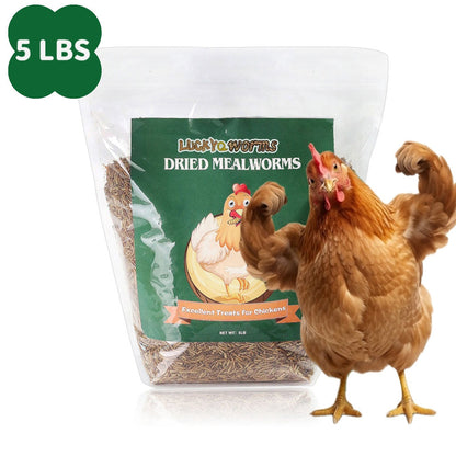 Dried Mealworms for Chickens Wild Birds Ducks – High Protein Natural Pet Food for Hens, Turtles, Fish, Lizards & Hamsters, Non-GMO Dried Insect Animal Feed, Multiple Sizes 0.6–40 LBS