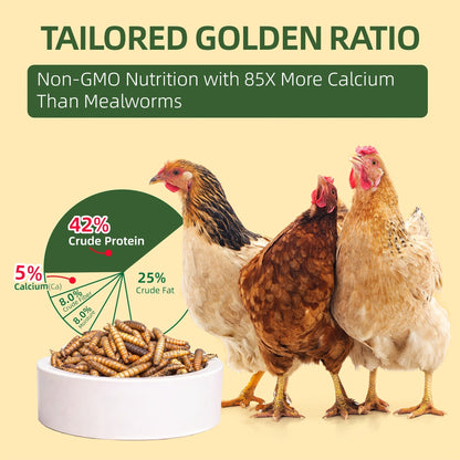 Dried Black Soldier Fly Larvae for Chickens – High Protein 43% & 85x More Calcium Than Mealworms, Non-GMO Natural BSFL Treats for Laying Hens, Ducks, Quail, Birds & Reptiles, 2LB / 5LB / 10LB