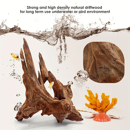 Natural Driftwood for Aquarium Decor & Reptile Terrarium – 2 Pieces 9 to 14 Inches Real Wood Branches for Fish Tank, Bearded Dragon, Lizard, Snake, Tree Frog, Turtle & Shrimp Habitat