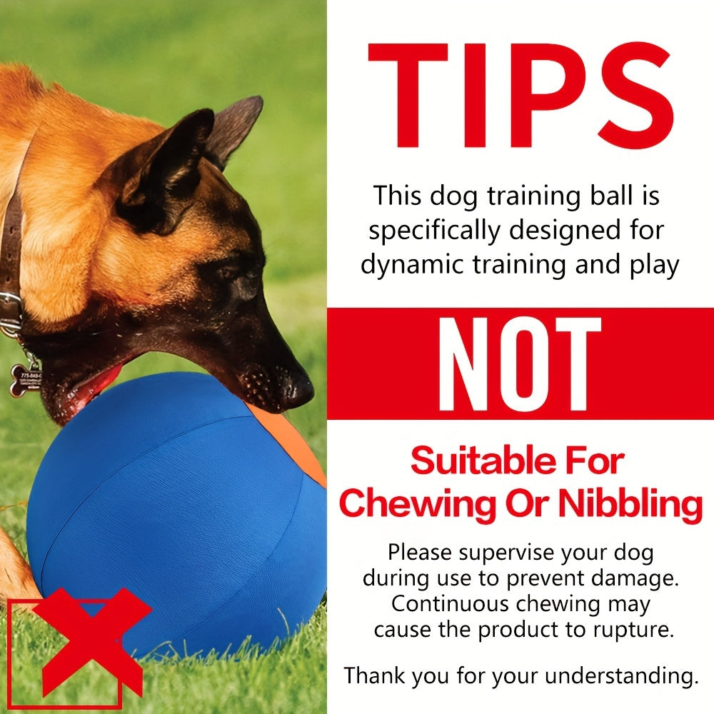 Chew-Resistant Dog Ball Toy for Fetch & Training – Durable Polo Balls for Golden Retrievers, Bulldogs, Shiba Inu, Corgi & Australian Shepherd, Self-Play & Obedience Exercise