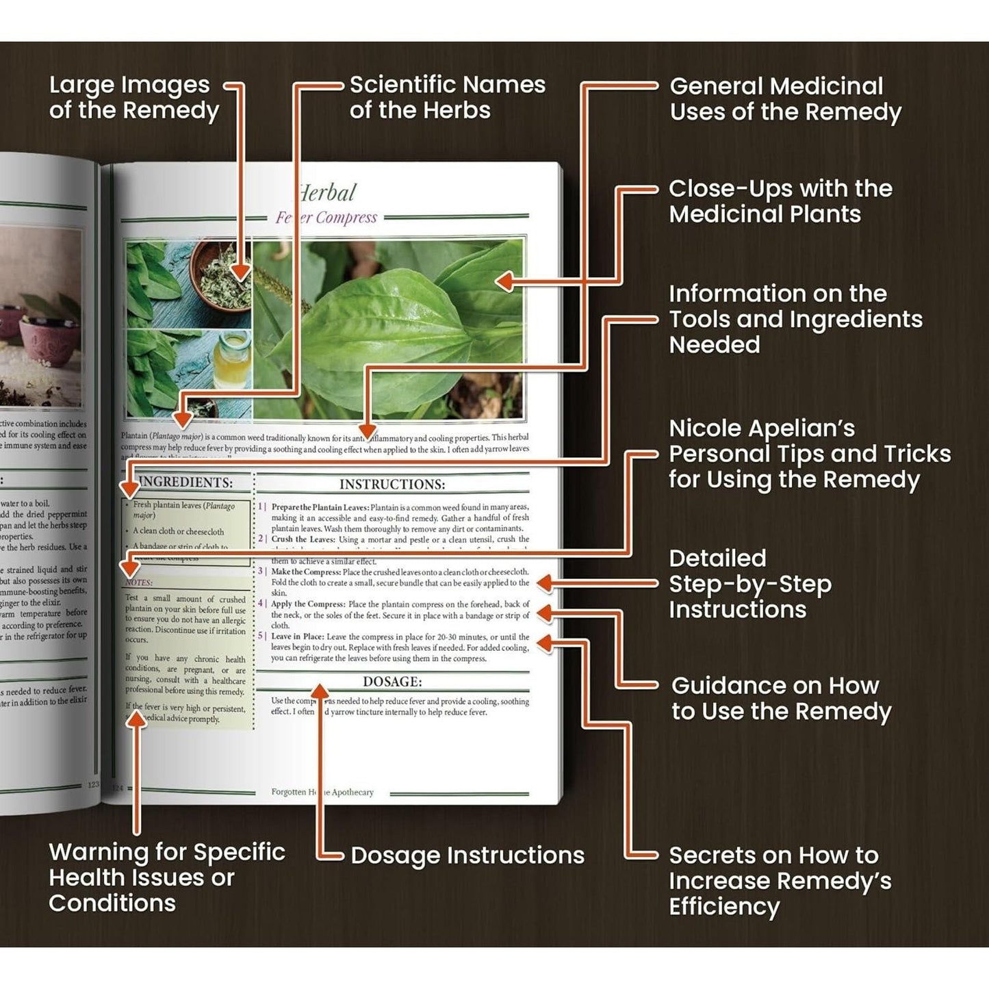 The Forgotten Home Apothecary - 250 Powerful Natural Remedies at Your Fingertips by Dr. Nicole Apelian, 288 Full-Color Pages with Step-by-Step Instructions, Photos & Dosages for Herbal Home Healing