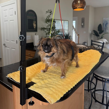 Dog Grooming Arm with Clamp 36 Inch – Adjustable Heavy-Duty Iron No-Sit Haunch Holder, 3-Section Design for Small & Medium Dogs and Cats, Includes Colorful Positioning Ropes, Professional Pet Grooming