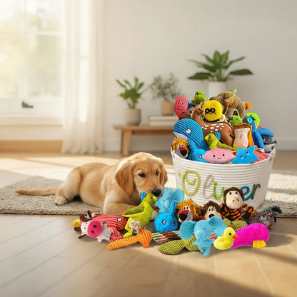20Pcs Chew Resistant Dog Toy Gift Box – Interactive Tug-of-War & Play Toys Assorted Set for Small Dogs, Random Styles, Keep Your Dog Entertained