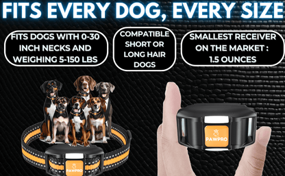 Dog Training Collar with Remote 4-Mile Range – 124 Adjustable Levels 4 Modes Beep Vibration Shock Night-Light Rechargeable E-Collar for Dogs 5–135 lbs with Training Guide