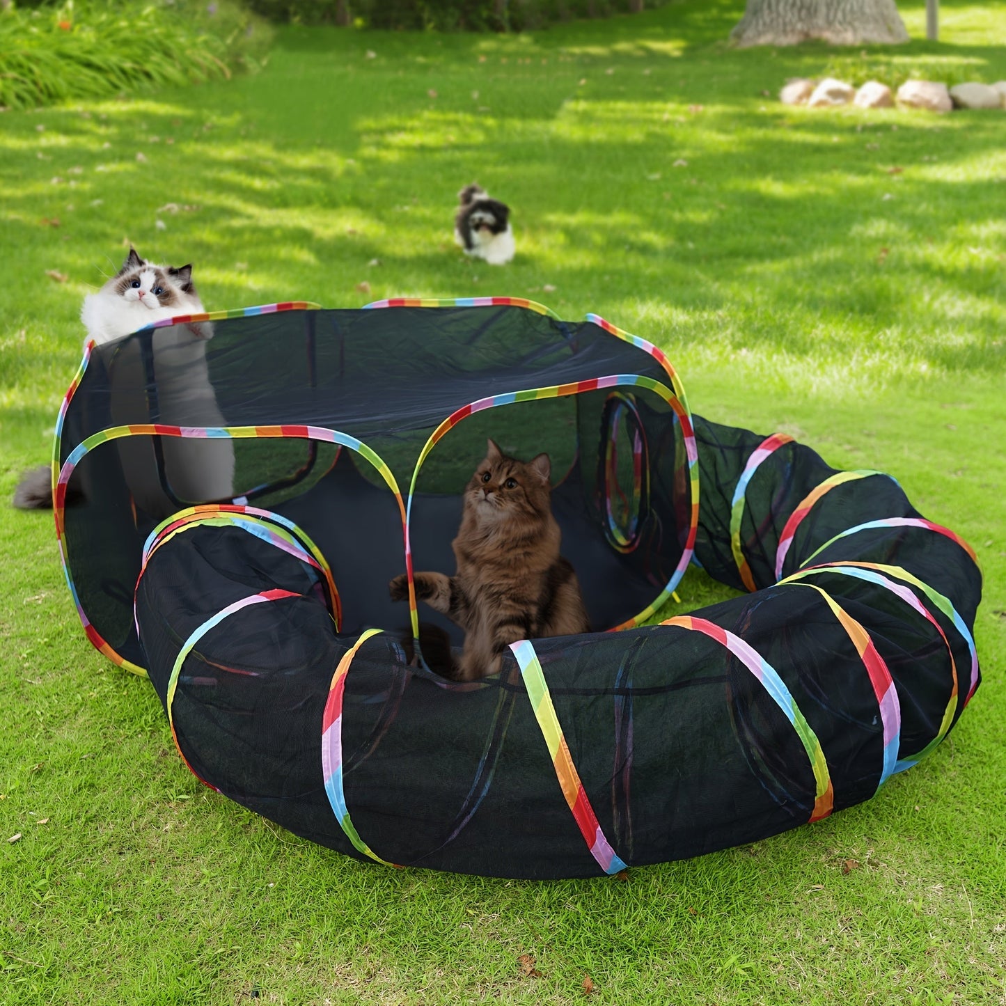 Rainbow Cat Playpen Outdoor Cat Enclosure with Circle Tunnel and Portable Pop-Up Tent, Foldable Cat Playground for Cats Kittens and Small Animals Indoor Outdoor Use