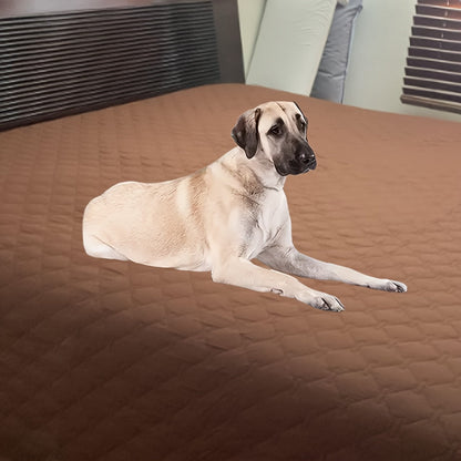 Reversible Waterproof Dog Blanket Extra Large - Double-Sided Pet Bed Cover with Bone Pattern, Machine Washable Sofa Protector for Small Medium Large Dogs and Cats, Indoor Outdoor Use