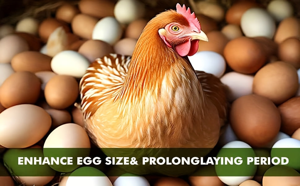 PROILGRUBS Dried Black Soldier Fly Larvae Chicken Treats – Non-GMO High-Protein Egg & Flock Builder, Stronger Eggshells & Feather Growth for Layers Broilers Chicks, 5 to 33 LB Bulk Bags