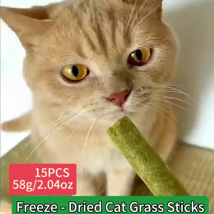 Cat Grass Sticks for Hairball Control – 3-in-1 Freeze-Dried Catnip Treats with Instant Granules & Hair Cream Tablets for Indoor Cats, Natural Hairball Remedy, 15 Count & 15-Pack Bundle
