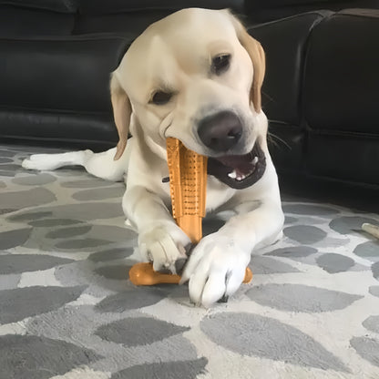 T-Shaped Dog Dental Chew Toy – Durable Non-Splintering Plastic Chew Toy with Textured Ridges & Ergonomic Grip for Aggressive Chewers, Teething Puppies & Adult Dogs, Teeth Cleaning Dog Toy