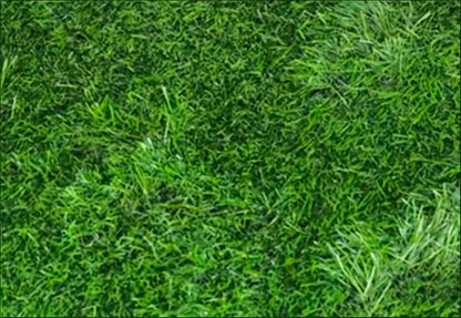 Artificial Grass Dog Pee Pad Washable Reusable Odor Control Indoor Puppy Potty Training Mat 18.11" x 27.56" – Dog Urine Grass Pad
